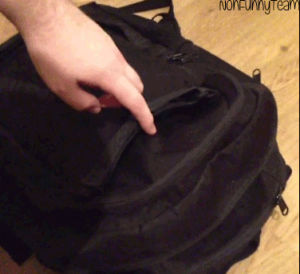 cat,hiding,backpack,black on black