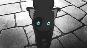 anime,cat,black,blue,eyes,kitten