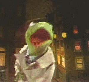 kermit the frog,sesame street,angry,photo,70s,muppets,unknown year,sesame street news