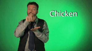 sign language,chicken,sign with robert,deaf,american sign language,swr
