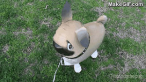 dog,balloon