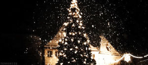 christmas,christmas tree,snow,winter