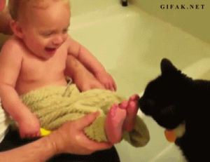 feet,cat,baby,laughing,bath
