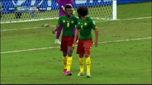 soccer,world cup,2014 world cup,fights,cameroon,turmoil