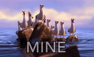 mine,finding nemo seagulls,finding nemo,seagulls,mineminemine