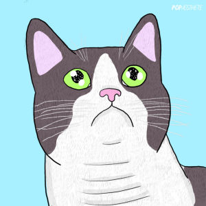 illustration,cats,artists on tumblr,pastel,imogen the kitten,art
