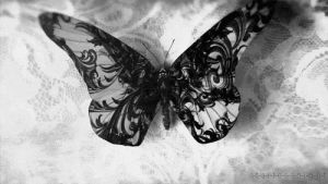 black and white,black,free,butterfly,darkness,love,animals,colours,butterflies
