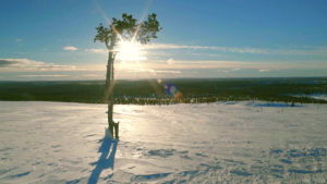 nature,snow,cinemagraph,tree,sunset,wind,mountain,living stills