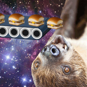 sloth,burger,omnomnom,space,cheeseburger,junk food,sloth in space,white castle