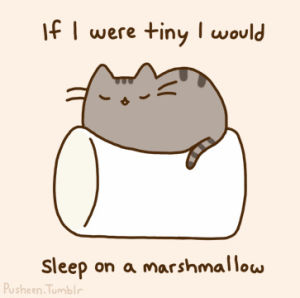 pusheen,sleep,marshmallow,cat,animal,kitten,dream,tiny