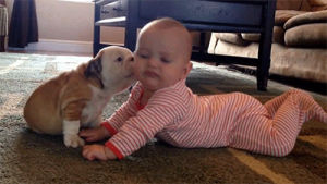 cute babies,puppy love,cute dog,dog,kiss,baby,puppy,adorable,bulldog,dog s,cute s,cute love,bulldog puppy,puppy s,baby s