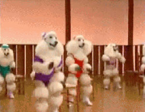 dancing,dog,poodle