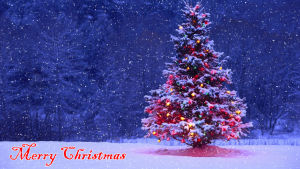christmas,merry,snowy,snow,truck flipper v bus puncher,tree,woods