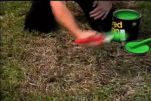 painting,lawn,grass,paint,now,green,infomercial
