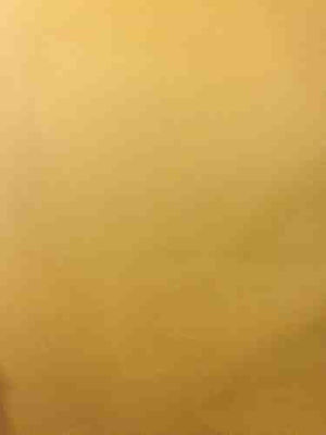 They are almost my last one GIF - Find on GIFER