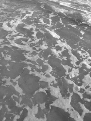water,nature,wave,ocean,black and white