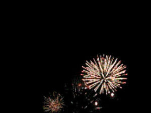 fireworks,firework