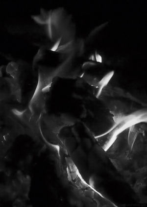 campfire,black and white,fire,bbc natural world,bbc