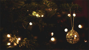 christmas lights,christmas tree,christmas
