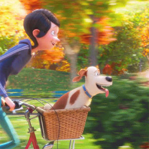 the secret life of pets,bike ride,fall,first day of fall