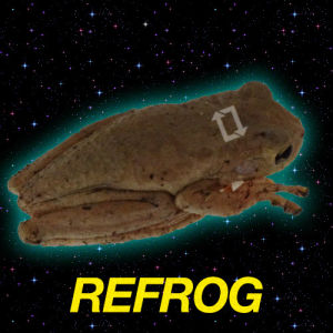 space,frog,ribbit,datos
