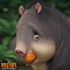 tapir,jaw drop,jawdrop,huh,what,oh,really,woah,rosie,the wild life,thewildlife
