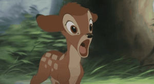bambi,funny,animals,disney,cute,nature,baby,deer