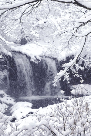 waterfall,winter,snow,vertical