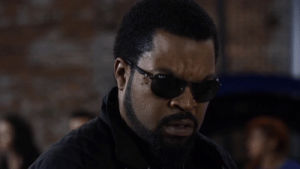 wtf,ice cube,say what,ride along