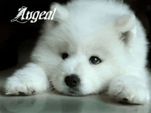 Laying Down Gif Find On Gifer