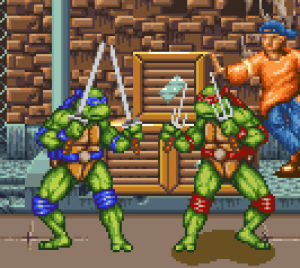 teenage mutant ninja turtles,fight,leonardo,turtles,ninja fight,raffaello