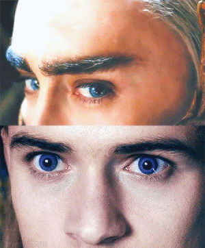 thranduil,legolas,the lord of the rings,celebrities,the hobbit,return of the king,fellowship of the ring,two towers