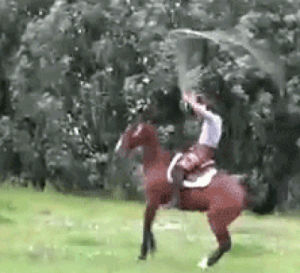 horse,jump rope