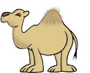 camel,transparent
