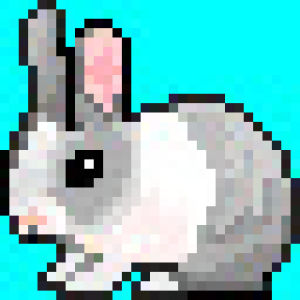 rabbit,transparent