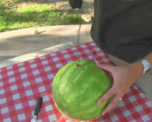 funny,drills,watermelons