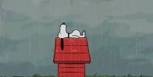 snoopy,cute,vintage,hipster,peanuts,indie