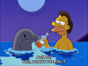 episode 1,drinking,season 12,lenny leonard,dolphin,gag,12x01