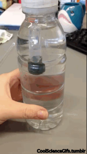 Картезианский водолаз своими руками. Эксперимент картезианский водолаз. Картезианский водолаз опыт по физике. Картезианский водолаз игрушка. Картезианский водолаз в бутылке.