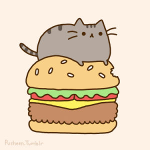 pusheen,cheeseburger,cat
