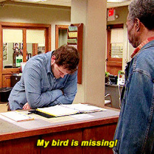 parks and recreation,classic