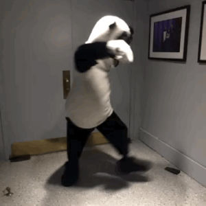 hashtag the panda,dancing,fallon tonight,made with tumblr