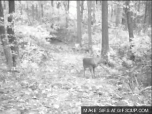 Smelling GIF - Find on GIFER