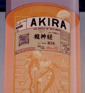 Akira Myanimelist Net