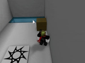 The Mirror Roblox Wiki