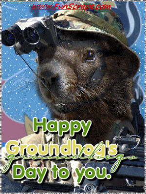 groundhog day,caddyshack,bill murray,shadow,groundhog,gopher
