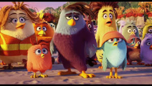 huh,angry birds,what,movie,confused