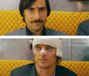 the darjeeling limited,wes anderson,sassy,suspicious,wounded