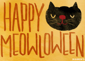 happy halloween,celebrate halloween,cat,pumpkin,black cat,happy meoloween