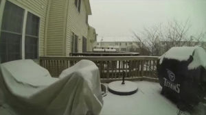 snow,virginia,overnight